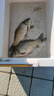 晚漁 海桿5付防纏繞鉤大力馬串鉤釣魚組串鉤線組鉛墜伊勢(shì)尼魚套裝拋竿五個(gè)鈴鐺五個(gè)鉛墜 伊勢(shì)尼5付+鈴鐺5個(gè)+15克鉛墜5個(gè) 5號(hào)伊勢(shì)尼魚鉤 曬單實(shí)拍圖
