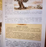 【硬殼精裝】莊子全書(shū)正版圖解全彩版原文注釋譯文國學(xué)經(jīng)典哲學(xué)老子道德經(jīng) 逍遙游 齊物論 養生主 人間世 曬單實(shí)拍圖