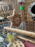 牛寵（niuchong）牛寵拔丁丁鸚鵡解悶自嗨磨牙棒小鳥(niǎo)用品小太陽(yáng)虎皮鴿子啃咬玩具 雪花玩具 曬單實(shí)拍圖