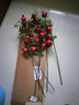 掬涵仿真石榴果樹(shù)枝仿真花漿果假花插花客廳擺設裝飾品絹花假石榴擺件 祥運石榴紅色三枝 曬單實(shí)拍圖