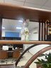 赟婭暴力熊擺件櫥窗展示柜擺設(shè)潮玩手辦客廳酒柜網(wǎng)紅熊裝飾品生日禮物 28cm（六件套） 曬單實拍圖