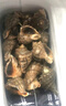 海螺鮮活超大新鮮青島特產(chǎn)海捕海鮮水產(chǎn)貝類(lèi)螺鮮小海螺特大大海螺 大海螺3斤【4～5只每斤】 1500g 曬單實(shí)拍圖