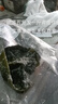 漁人百味鹽漬海帶頭5斤新鮮食材厚海帶海白菜榮成海帶片海帶絲海帶苗3/1斤 500g 簡裝 鹽漬海帶頭 曬單實(shí)拍圖
