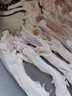國產(chǎn)牛蹄筋 新鮮冷凍黃牛筋 生鮮牛肉牛雜火鍋食材 原切牛蹄筋1000g 曬單實拍圖