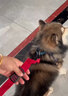 EZYDOG澳洲進(jìn)口快套貼護胸背狗狗嗨輕防勒磨大中小型犬防爆沖胸背帶柴犬 復古單寧 L【頸圍45-79cm | 胸圍67-84cm】 曬單實(shí)拍圖