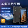 辰想10/8英寸三防平板電腦windows工業級加固終端煤礦安防爆網口串口拓展航插GPS北斗雙定位4G/5G插卡 咨詢客服 自選配件（默認發手綁帶） 三防版本（廠家直銷支持多功能模塊定制） 曬單實拍圖