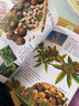 兒童動(dòng)植物科普館：認識植物（彩圖版） 曬單實(shí)拍圖
