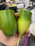 青尊園天津正宗沙窩蘿卜新鮮應(yīng)當(dāng)季蔬菜甜脆蘿卜青皮綠蘿卜 3斤凈重 曬單實(shí)拍圖