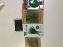 種菜記圣女果種子 櫻桃小番茄種籽 春桃四季西紅柿庭院露地蔬菜種籽柿子 春桃6-6 20粒試種裝 曬單實(shí)拍圖