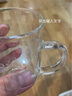 諾亞功夫茶具家用客廳雙層透明玻璃茶杯簡約現(xiàn)代泡茶口杯高檔套裝 茶道師D套裝（內(nèi)含泡茶壺*1/公道杯/品茗杯*6） 曬單實(shí)拍圖