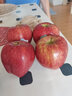 帆兒莊園順豐美國進(jìn)口紅蛇果大果紅蘋(píng)果A級+新鮮 4個(gè)裝 曬單實(shí)拍圖