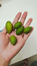 青尊園 福建青橄欖正宗二號甜橄欖 新鮮青果孕婦水果生吃老樹(shù)檀香無(wú)渣 曬單實(shí)拍圖
