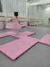 铁箭（TIEJIAN） 儿童舞蹈服女童练功形体服蓬蓬裙连体服芭蕾舞演出服培训班服装 粉红色短袖 120cm 实拍图