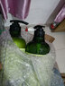 仙維娜橄欖洗發(fā)水沐浴露套裝 柔亮去屑750ml+檸檬爽膚750ml 曬單實(shí)拍圖