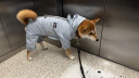 憨憨宠狗狗雨衣狗衣服小型犬全包四脚反光户外防风保暖冲锋衣服防水雨披 蓝色 L号建议体重5-8斤 实拍图