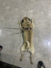 康多乐狗粮 中小型犬营养均衡牛肉鸡肉蔬菜金毛泰迪 牛肉肝蔬菜成犬15kg【临期9月】 实拍图