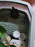 萌龜飼家小巴西龜草龜幼龜飼料蝦干龜糧小蝦干散裝小魚(yú)干水龜食飼料烏龜料 面包蟲(chóng)干半斤 曬單實(shí)拍圖