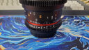 SAMYANG 三陽(yáng)森養(yǎng)三洋100mm T3.1  百微 微距花鳥(niǎo)昆蟲(chóng)美食靜物 鏡頭 佳能卡口 曬單實(shí)拍圖