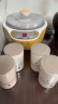小熊（Bear） 酸奶机 家用全自动米酒机酸奶发酵机 陶瓷4分杯 陶瓷4分杯 黄色SNJ-B10K1 实拍图