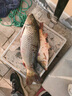 佳之釣釣椅新款多功能釣魚椅子野釣全地形座椅釣椅折疊便攜釣魚凳 【加長坐墊】黑灰-套餐一 曬單實(shí)拍圖