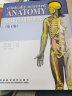 临床应用解剖学（第4版） 实拍图
