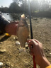 民間藝人魚漂套裝全套高靈敏野釣浮漂加粗醒目野釣鯽魚帶漂盒送禮漁具用品 曬單實拍圖
