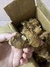 辰實(shí)沙姜新鮮 廣東茂名山奈生砂姜 白切雞椰子雞蘸料調配料 250g 曬單實(shí)拍圖