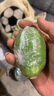 新鮮廣東無籽香水檸檬 青檸檬爆香薄皮 精品一級果奶茶店專用 5斤一級果 60-200g 曬單實拍圖
