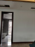 都芳（DUFA）德国都芳金六合一内墙漆1L原装进口室内水性墙面漆家用内墙涂料 白色 1L 实拍图