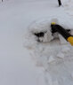趣行汽车除雪铲 加长金属伸缩车用扫雪刷 加厚毛刷软头冰雪铲雪AX-25 实拍图