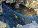 魚(yú)池過(guò)濾304不銹鋼芯毛刷濾材過(guò)濾材料錦鯉池物理過(guò)濾過(guò)濾毛刷 110cm*50支綠色 曬單實(shí)拍圖