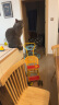 YEESOOM英国婴儿学步车防侧翻宝宝多功能儿童助步车6-18个月手推音乐玩具 23款智能锁七档透气-薄荷绿-速发 升级版 实拍图