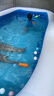 PoolMate游泳池消毒片消毒劑速溶氯片低味型1公斤兒童嬰兒池專(zhuān)用 【消毒片1公斤】2克速溶片 曬單實(shí)拍圖