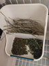 牛寵寵物固定食盆兔子草架自動(dòng)喂食器懸掛式二合一兩用豚鼠龍貓喂食槽 2合1草架-米白色 食盆草架 曬單實(shí)拍圖