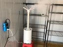 西法HC-05B數顯智能濕控器高精度控濕儀濕度控制器插座開(kāi)關(guān)濕控儀 濕控05B+2米電容濕度探頭 曬單實(shí)拍圖