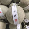 日本引種冰淇淋網(wǎng)紋蜜瓜當(dāng)季新鮮水果禮盒密瓜玫瓏海陽(yáng)蜜瓜 精選6粒玫瓏蜜瓜（普通裝） 曬單實(shí)拍圖