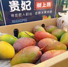 舅甜果蔬海南樹(shù)上熟貴妃芒（順豐空運多地隔日達）新鮮現摘紅金龍芒果禮盒 4.5斤 嚴選大果禮盒裝 曬單實(shí)拍圖