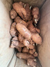 獨(dú)愛（DUAR）廣東沙姜新鮮沙姜山奈老姜土特產(chǎn)食用椰子雞蘸料調(diào)味配料 1斤 曬單實(shí)拍圖
