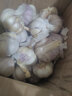 舞荷果大蒜大蒜批發(fā)價(jià)農(nóng)家大蒜頭臘八蒜 1500g 曬單實(shí)拍圖