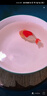 歐佰色（OBEISEE）魚池魚缸觀賞養(yǎng)魚水族殺菌鹽錦鯉專用鹽凈水消毒礦物鹽抗菌粗海鹽 【魚缸專用】觀賞魚專用鹽2KG/一桶 曬單實(shí)拍圖