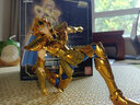 BANDAI 萬代圣衣神話黃金圣斗士 手辦模型玩具（拆封不退換） 獅子座 艾歐利亞 18cm 曬單實拍圖