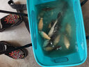 明孚納米浮漂加粗醒目冬釣輕口鯽魚漂高靈敏鯉魚漂浮標(biāo)抗風(fēng)浪走水浮漂 C03 1號(hào)2號(hào)3號(hào)各一支 曬單實(shí)拍圖