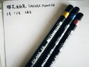 櫻花（SAKURA）日本軟頭勾線筆書法筆秀麗筆 兒童練字筆大中小楷簽字筆海綿頭 美工筆軟筆漫 勾線筆小號3支組合 曬單實拍圖