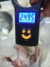 順豐6斤 排骨新鮮冷凍多肉農家散養(yǎng)豬肋排土豬黑豬排骨整箱 整箱4斤裝(排骨約3.5-3.8斤) 曬單實拍圖