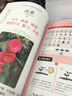 栽花種草 庭院種花與色彩搭配 花卉園藝栽培種植養(yǎng)護色彩搭配庭院綠化新手四季養(yǎng)花零基礎學養(yǎng)花 曬單實拍圖
