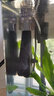 耐恩樂魚缸去油膜過濾器水族箱草缸增氧內(nèi)置過除浮油器小型除油膜處理器 YM-03油膜器 曬單實(shí)拍圖