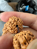 古木匠尼泊爾大金剛菩提手串原籽爆肉雙龍紋五六瓣文玩核桃男士盤(pán)玩手鏈 收藏級(jí)爆肉5瓣21mm*13顆+送1顆 曬單實(shí)拍圖