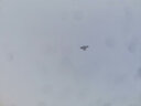 啄木鳥(niǎo)（TUCANO）休閑衛衣套裝男春秋季潮牌韓版外套開(kāi)衫青少年一套穿搭配衣服男裝 TZ413黑色兩件套 XL 【120-140斤】 曬單實(shí)拍圖