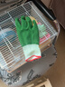 寵寶它 實(shí)驗室抓大鼠手套 小鼠防咬手套 倉鼠防咬加厚手套 抓小動(dòng)物手套 綠色常規厚度偏大 建議手大/男士 均碼 曬單實(shí)拍圖