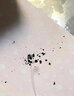 SUNLINE桑瀨碳線路亞線前導(dǎo)線魚線純碳線主線水晶子線碳素線碳氟線300米 0.8號 曬單實拍圖